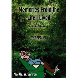Memories From the Life I Lived Image
