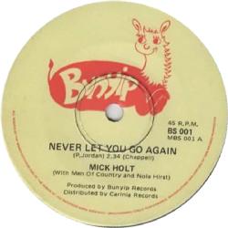 Never Let You Go Again Image